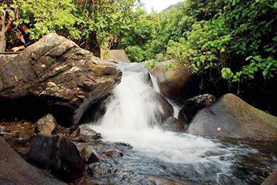 老虎溝生態(tài)農(nóng)場